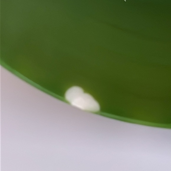 White & Green Wide Chunky Bangle Bracelet (Reminiscent of a Watermelon) - Picture 16 of 16